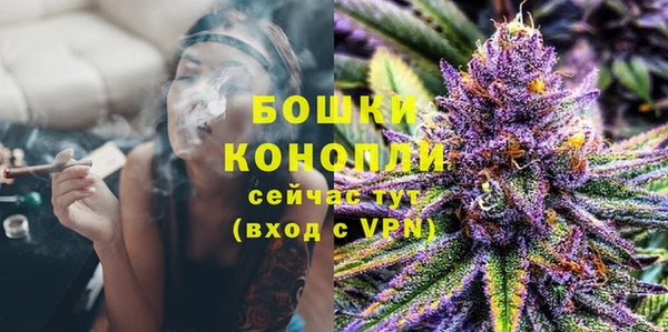 гидра Алексеевка