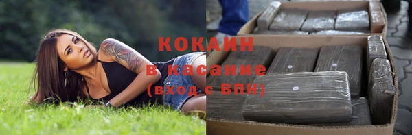 гидра Алексеевка