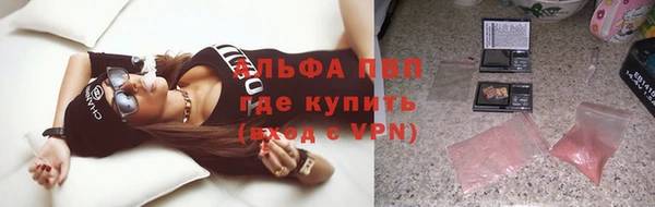 прущие грибы Невель