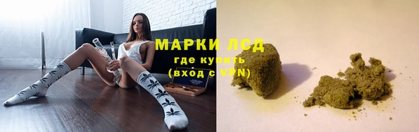 эйфоретик Алзамай