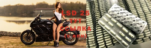 гидра Алексеевка